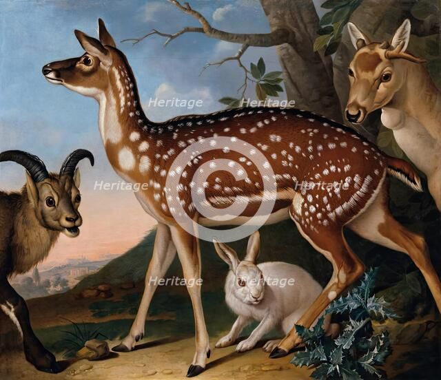 Fallow deer, ibex and hare, 1723. Creator: Philipp Ferdinand de Hamilton.