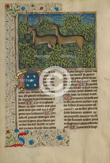 Fallow Deer; Livre de la Chasse, about 1430-1440. Creator: Unknown.