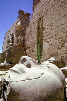 Fallen head from a colossal statue, Luxor, Egypt. Creator: Tony Evans