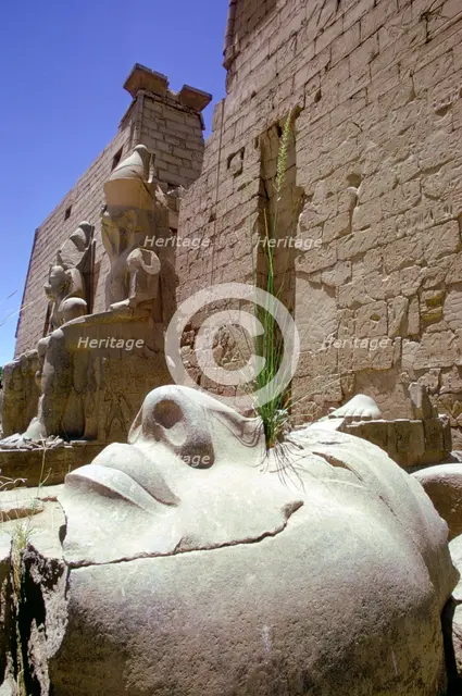Fallen head from a colossal statue, Luxor, Egypt. Creator: Tony Evans.