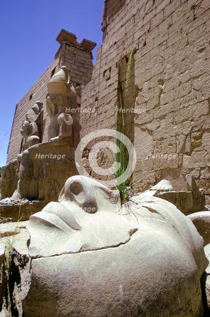 Fallen head from a colossal statue, Luxor, Egypt. Creator: Tony Evans.