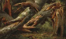 Fallen Tree, 1839/1845. Creator: Alexandre Calame