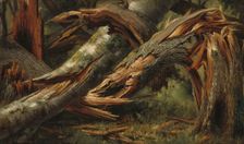 Fallen Tree, 1839/1845. Creator: Alexandre Calame