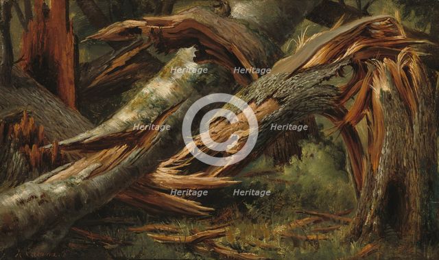 Fallen Tree, 1839/1845. Creator: Alexandre Calame.