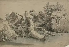 Fallen tree by a stream, 1856. Creator: Johann Heinrich Hasselhorst