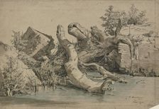 Fallen tree by a stream, 1856. Creator: Johann Heinrich Hasselhorst