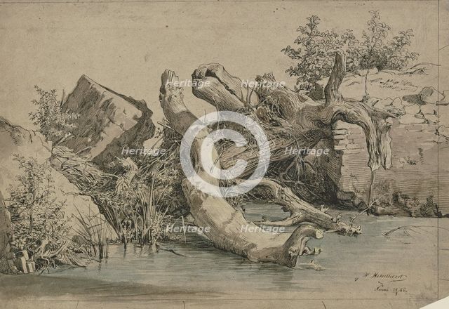 Fallen tree by a stream, 1856. Creator: Johann Heinrich Hasselhorst.