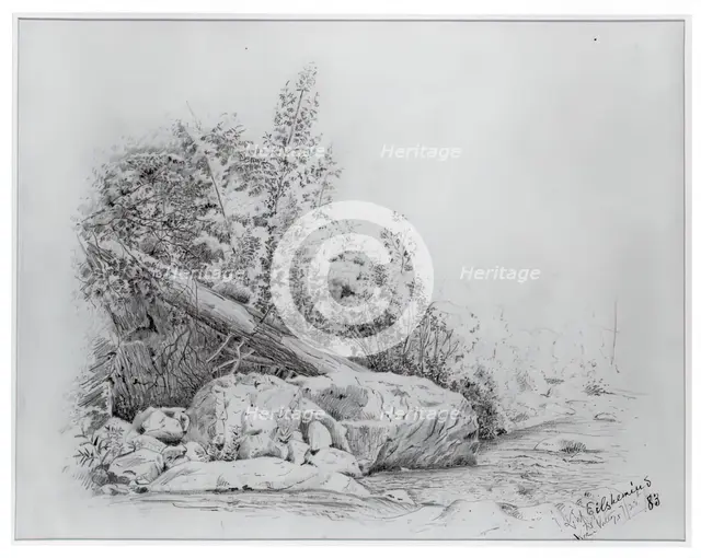 Fallen Tree, Keene Valley, July 25, 1883. Creator: Louis Michel Eilshemius.