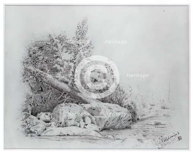 Fallen Tree, Keene Valley, July 25, 1883. Creator: Louis Michel Eilshemius.