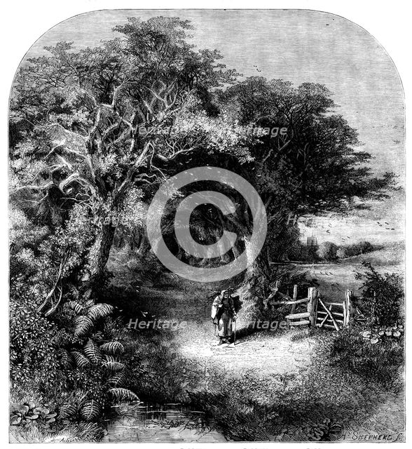 Falling Leaves, 1858. Creator: H. Shepherd.