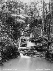 Falls in creek: Crohamhurst, 1894. Creator: Unknown