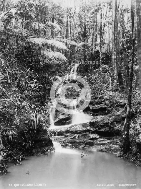 Falls in creek: Crohamhurst, 1894. Creator: Unknown.