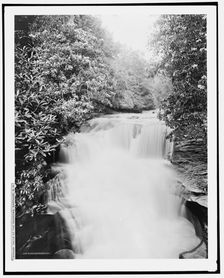 Falls of the narrows, Sapphire, N.C., c1902. Creator: William H. Jackson