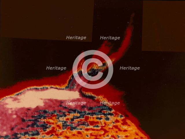 False colour image of a solar flare from Skylab, 1973. Creator: Unknown.