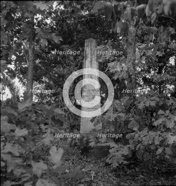 Family burial ground on the abandoned Pharr Plantation near Social Circle, Georgia, 1937. Creator: Dorothea Lange.