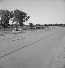 Family camped on U.S. Highway 63, Cache County, Oklahoma, 1937. Creator: Dorothea Lange