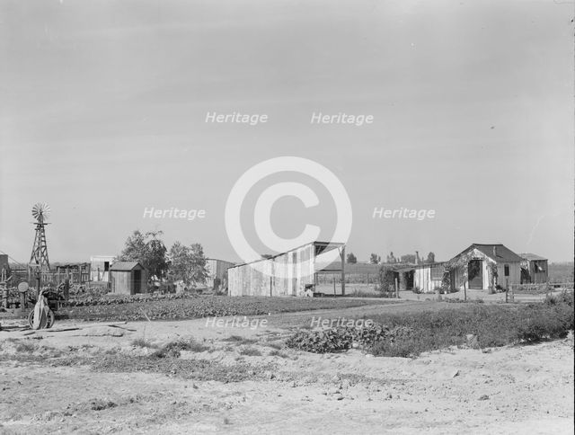 Family from Arkansas with large vegetable garden and small house, Tulare County, California, 1938. Creator: Dorothea Lange.