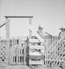 Family from Oklahoma; have been in California for 6 years..., near Fresno, California, 1939 Creator: Dorothea Lange