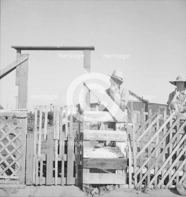 Family from Oklahoma; have been in California for 6 years..., near Fresno, California, 1939 Creator: Dorothea Lange.