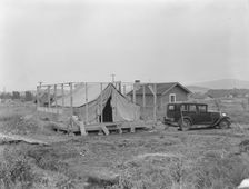 Family living in tent while building the house around them, near Klamath Falls, Oregon, 1939. Creator: Dorothea Lange