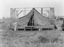 Family living in tent while building the house..., near Klamath Falls, Klamath County, Oregon, 1939. Creator: Dorothea Lange