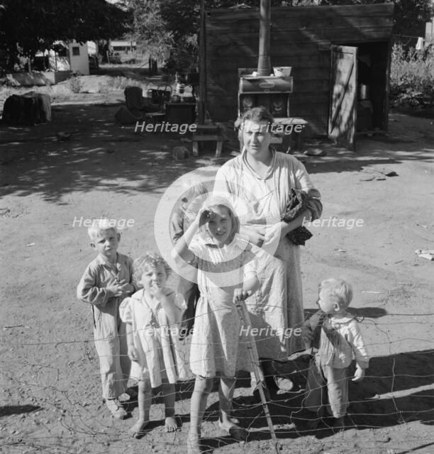 Family living in shacktown community, mostly from Kansas and..., Washington, Yakima Valley, 1939. Creator: Dorothea Lange.