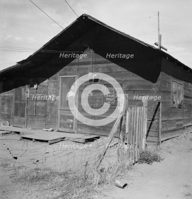 Family living in shacktown community, Washington, Yakima Valley, Wapato, 1939. Creator: Dorothea Lange.