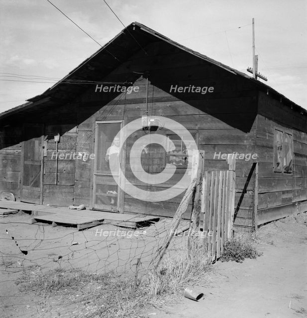 Family living in shacktown community, Washington, Yakima Valley, Wapato, 1939. Creator: Dorothea Lange.
