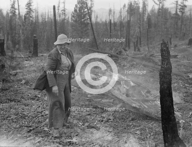 Family work clearing land by burning, near Bonners Ferry, Boundary County, Idaho, 1939. Creator: Dorothea Lange.