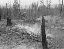 Family work clearing land by burning, near Bonners Ferry, Boundary County, Idaho, 1939. Creator: Dorothea Lange
