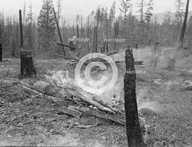 Family work clearing land by burning, near Bonners Ferry, Boundary County, Idaho, 1939. Creator: Dorothea Lange.
