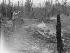 Family work clearing land by burning, near Bonners Ferry, Boundary County, Idaho, 1939. Creator: Dorothea Lange