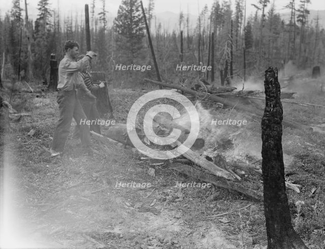 Family work clearing land by burning, near Bonners Ferry, Boundary County, Idaho, 1939. Creator: Dorothea Lange.