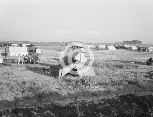 Families camped on flat before season opens..., near Merrill, Klamath County, Oregon, 1939 Creator: Dorothea Lange.