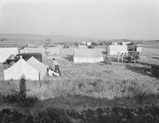 Families camped on flat before season opens..., near Merrill, Klamath County, Oregon, 1939 Creator: Dorothea Lange