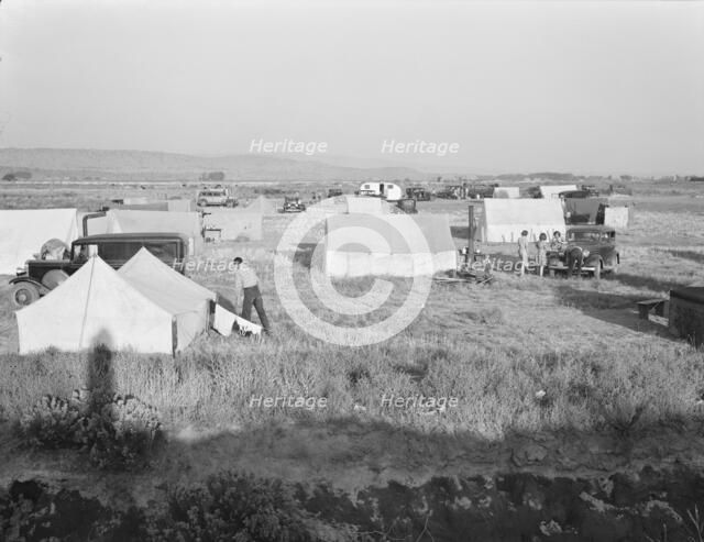 Families camped on flat before season opens..., near Merrill, Klamath County, Oregon, 1939 Creator: Dorothea Lange.