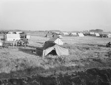 Families camped on flat before season opens..., near Merrill, Klamath County, Oregon, 1939 Creator: Dorothea Lange