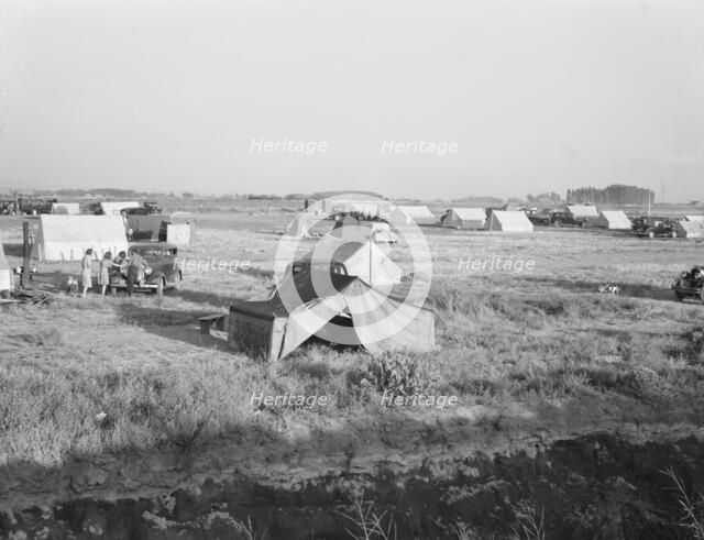 Families camped on flat before season opens..., near Merrill, Klamath County, Oregon, 1939 Creator: Dorothea Lange.