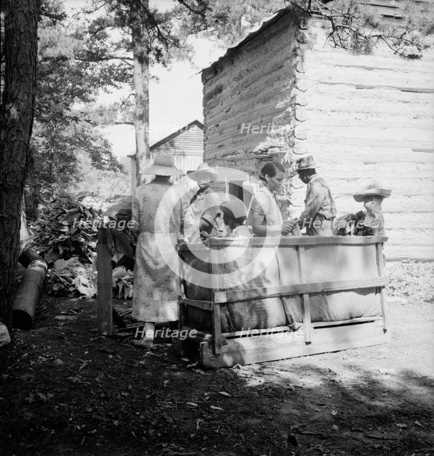 Families stringing tobacco brought in..., Granville County, North Carolina, 1939. Creator: Dorothea Lange.