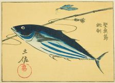 Famous Products of Tosa Province: Dried Bonito (Tosa meibutsu, katsuobushi), section of sh..., 1852. Creator: Ando Hiroshige
