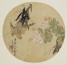 Fan painting - Flower and Bird, 19th century (1801-1900)