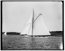 Fanny, between 1880 and 1899. Creator: Unknown