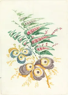 Fantastic Flowers with Oyster-shell Blossoms, c. 1795. Creator: Anne Allen