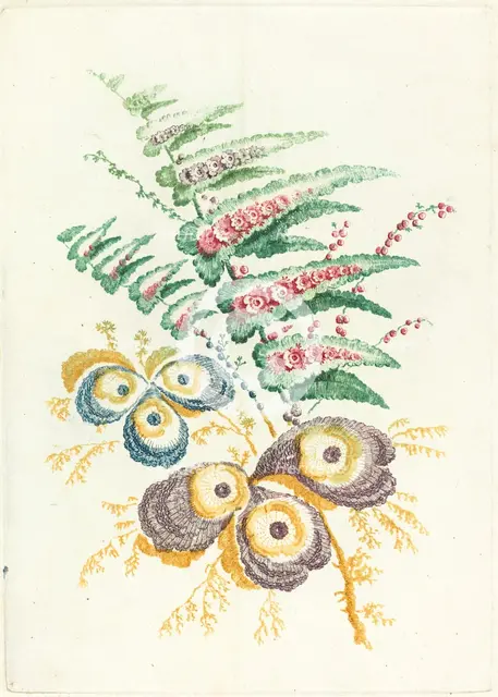 Fantastic Flowers with Oyster-shell Blossoms, c. 1795. Creator: Anne Allen.