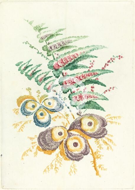 Fantastic Flowers with Oyster-shell Blossoms, c. 1795. Creator: Anne Allen.
