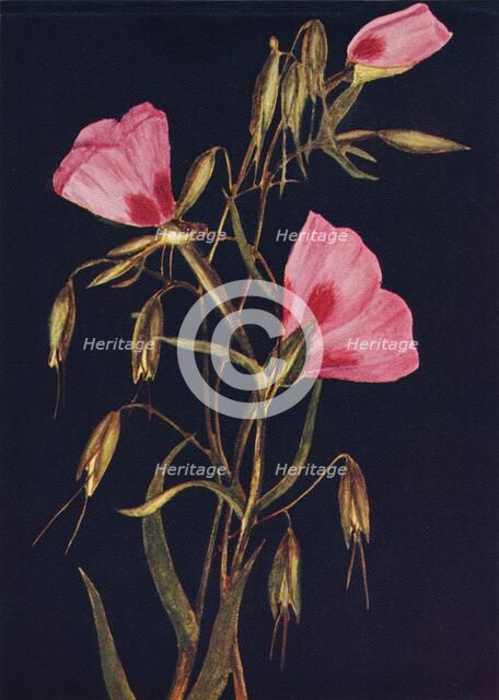 'Farewell to Spring',  c1915, (1915). Artist: Emma Graham Clock.