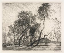 Farm with Poplar Trees of Holland , 1914. Creator: Auguste Louis Lepère (French, 1849-1918)