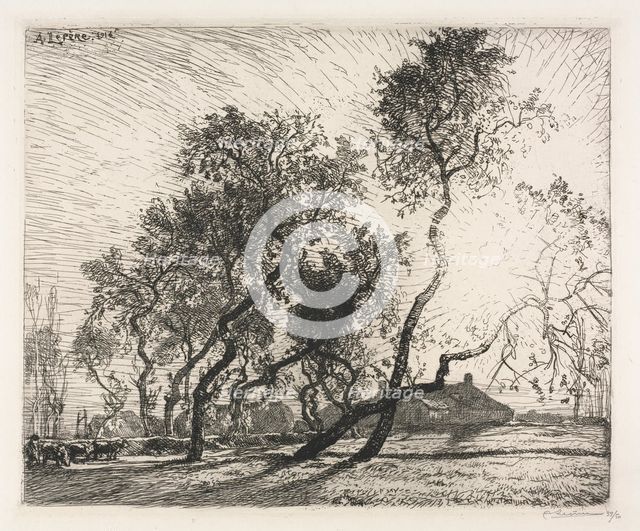 Farm with Poplar Trees of Holland , 1914. Creator: Auguste Louis Lepère (French, 1849-1918).