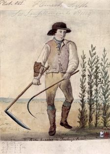 Farm worker using the Flemish scythe, c1808. Creator: Unknown