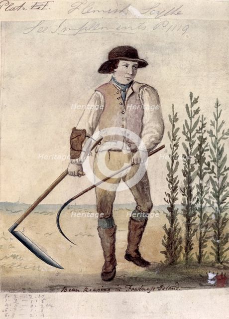 Farm worker using the Flemish scythe, c1808. Creator: Unknown.